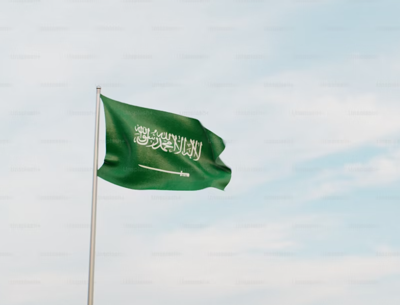 مخطط معلومات زيارة السعودية | Essential Saudi travel info illustration