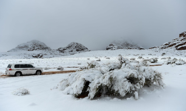 شتاء السعودية وأجواؤه الباردة | Saudi winter landscapes